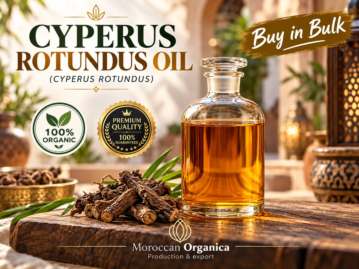 Cyperus rotundus oil morocco